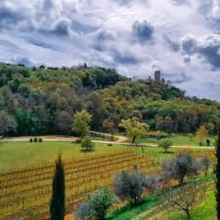 Faro - New House, Near Beaches, Heated Pool, Playroom, Bbq, Salvore - Istria *