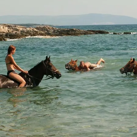 Villa Faro - New House, Near Beaches, Heated Pool, Playroom, Bbq, Salvore - Istria *
