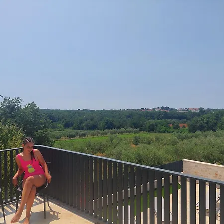 Villa Faro - New House, Near Beaches, Heated Pool, Playroom, Bbq, Salvore - Istria Bašanija