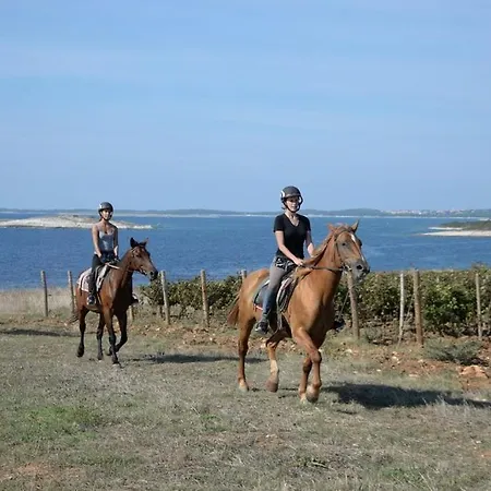 فيلة Faro - New House, Near Beaches, Heated Pool, Playroom, Bbq, Salvore - Istria